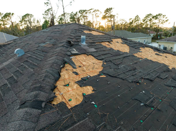 Best Green or Eco-Friendly Roofing Solutions  in Butler, PA